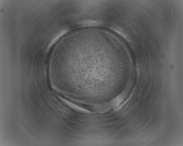 X0000073751309200608171321