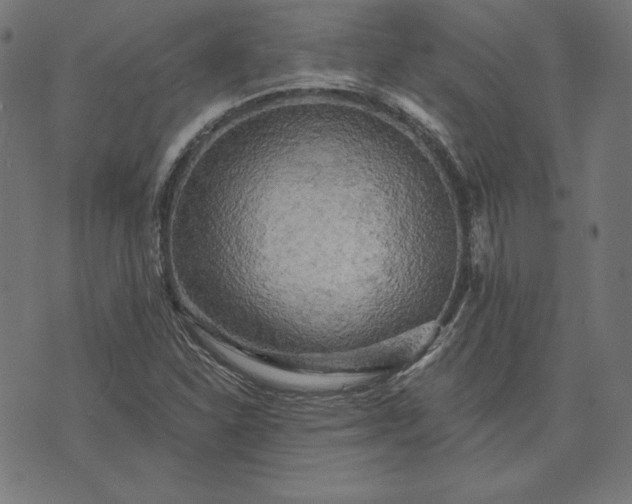 X0000073751310200608171321