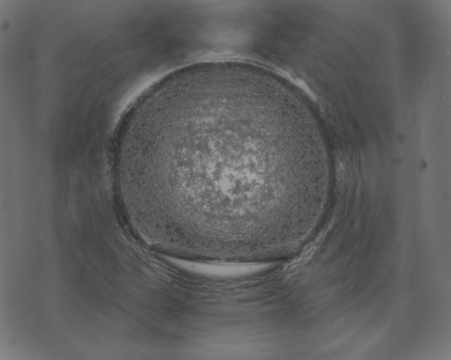 X0000073751311200608171321