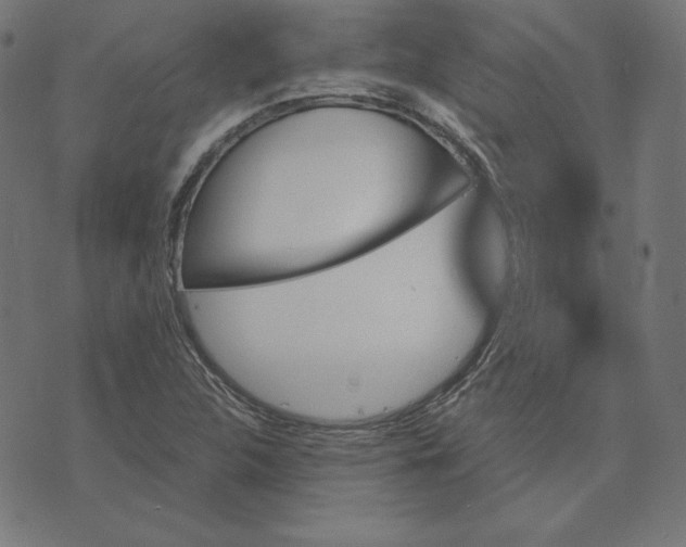 X0000073751312200608171321