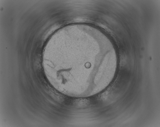 X0000073751314200608171321