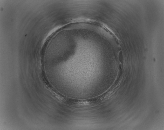 X0000073751315200608171321