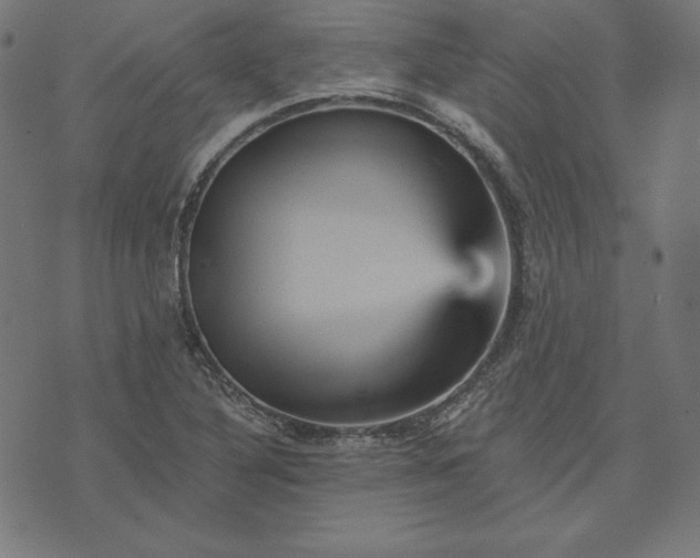 X0000073751316200608171321