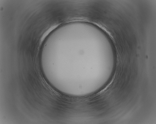 X0000073751317200608171321