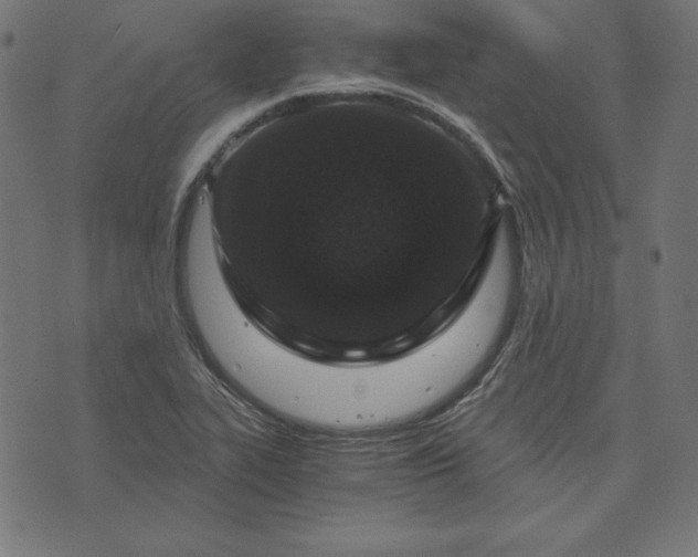 X0000073751319200608171321