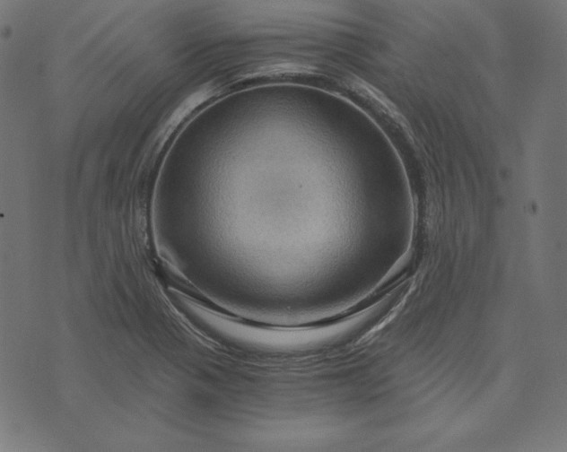 X0000073751321200608171321