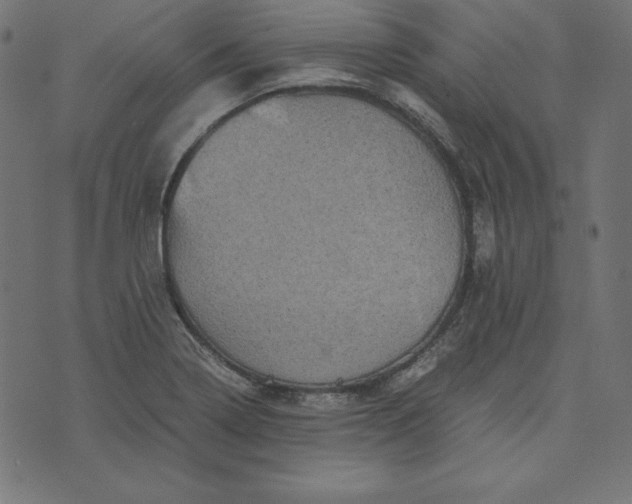 X0000073751322200608171321