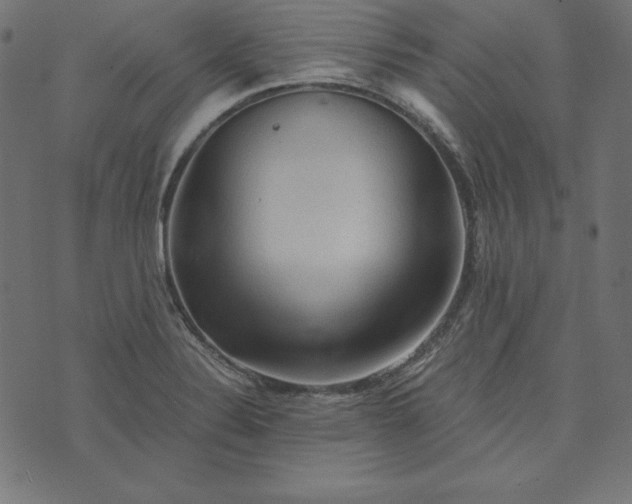 X0000073751324200608171321