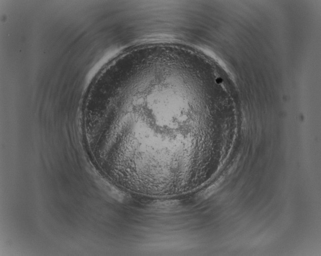 X0000073751325200608171321