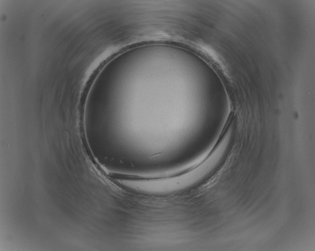 X0000073751326200608171321