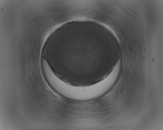 X0000073751327200608171321