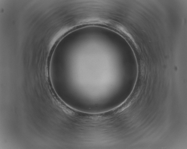 X0000073751328200608171321