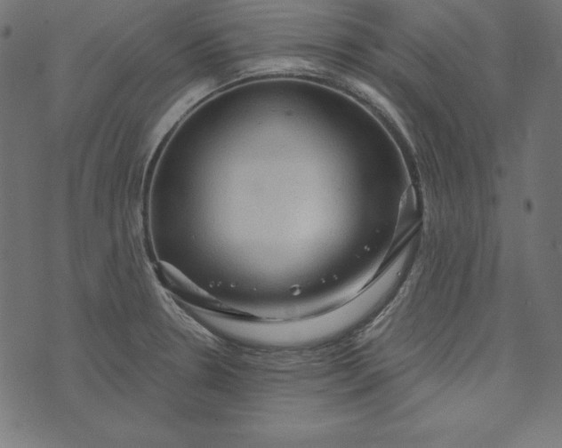 X0000073751330200608171321