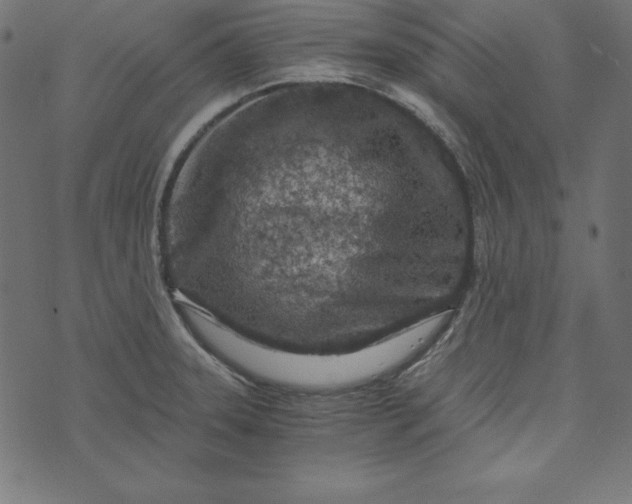 X0000073751331200608171321