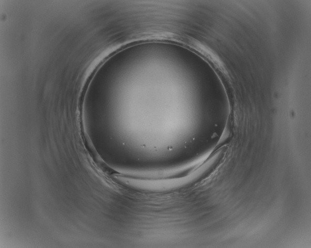 X0000073751332200608171321