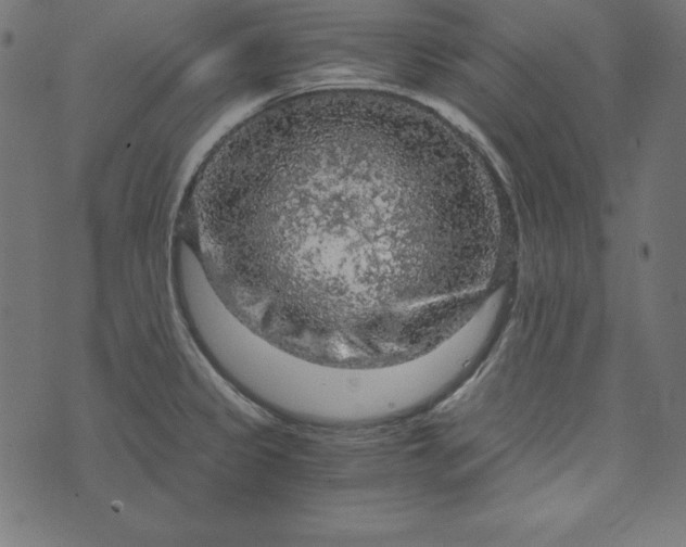 X0000073751333200608171321