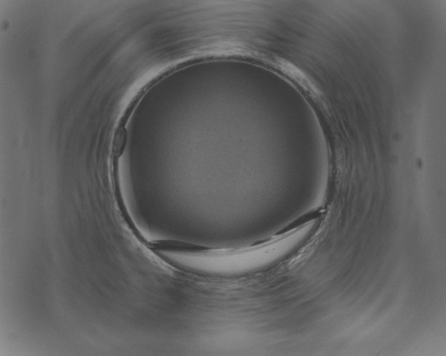 X0000073751334200608171321