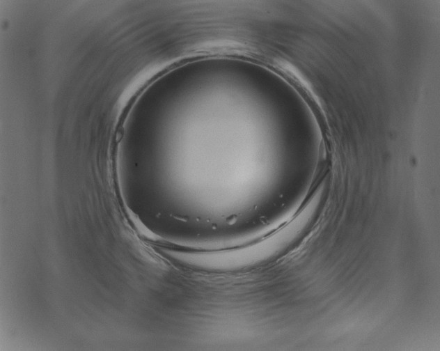 X0000073751336200608171321