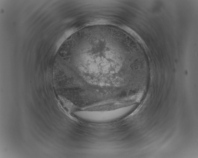 X0000073751337200608171321