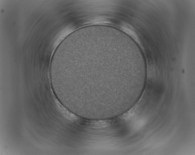 X0000073751338200608171321