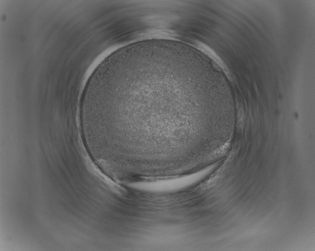 X0000073751339200608171321