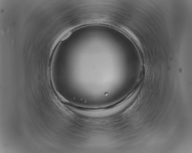 X0000073751340200608171321