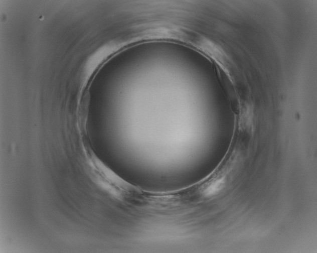 X0000073751342200608171322