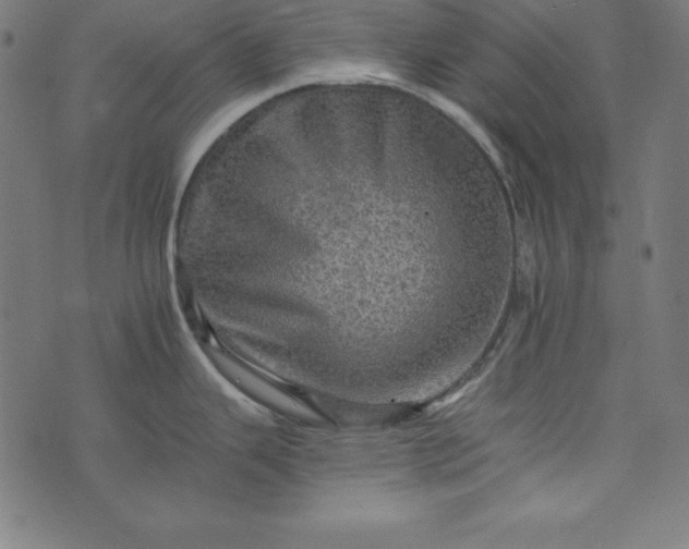 X0000073751343200608171322