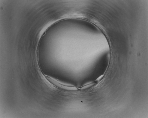 X0000073751344200608171322