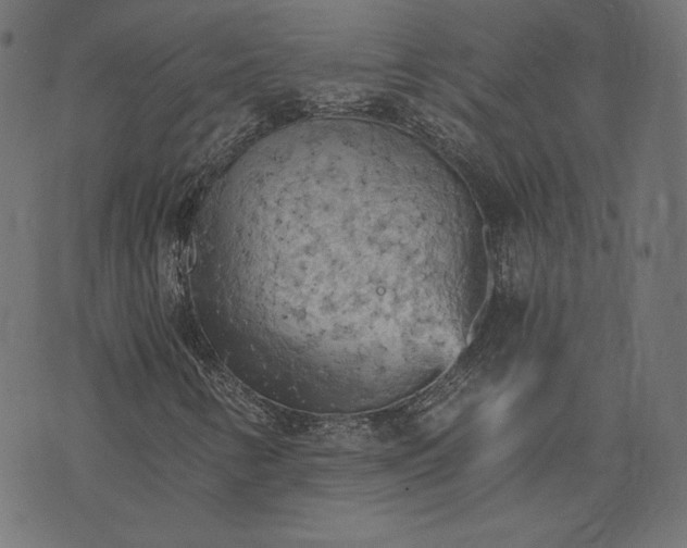 X0000073751346200608171321