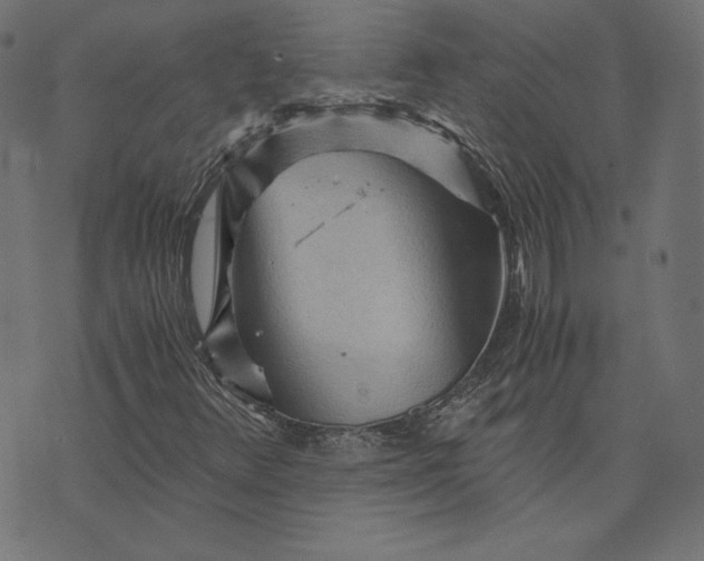 X0000073751348200608171321