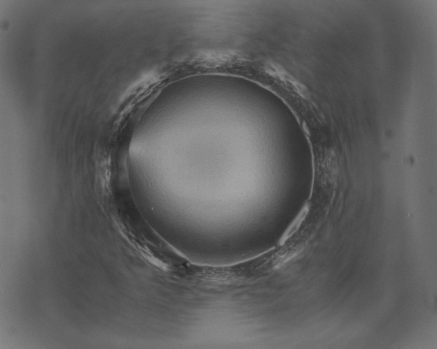 X0000073751349200608171321