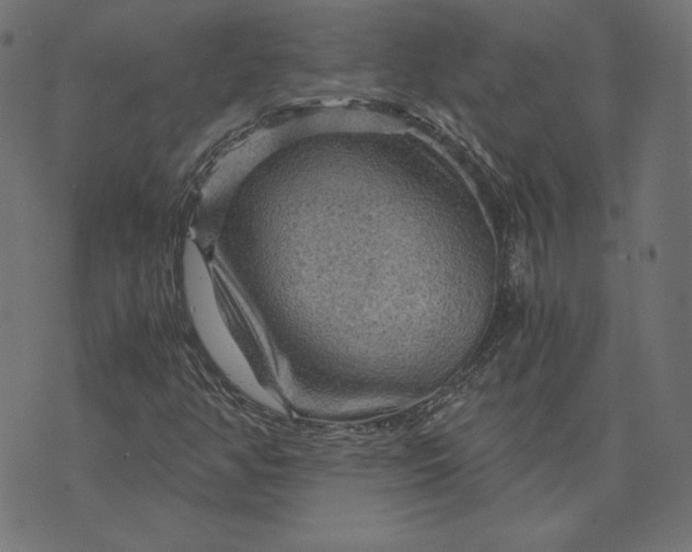 X0000073751350200608171321