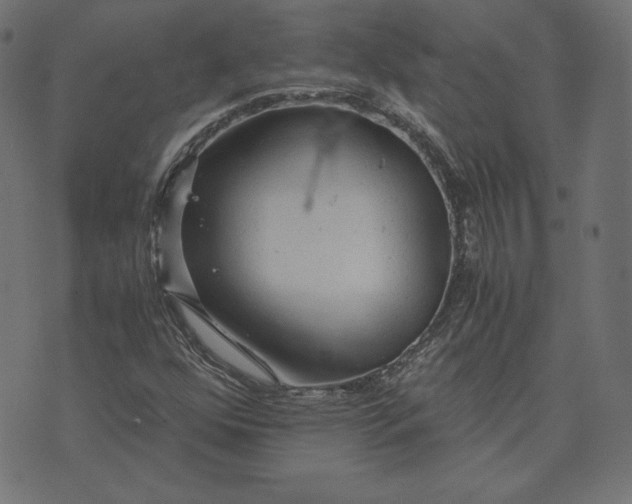 X0000073751352200608171321