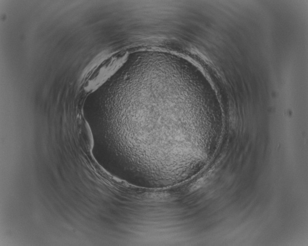 X0000073751354200608171321