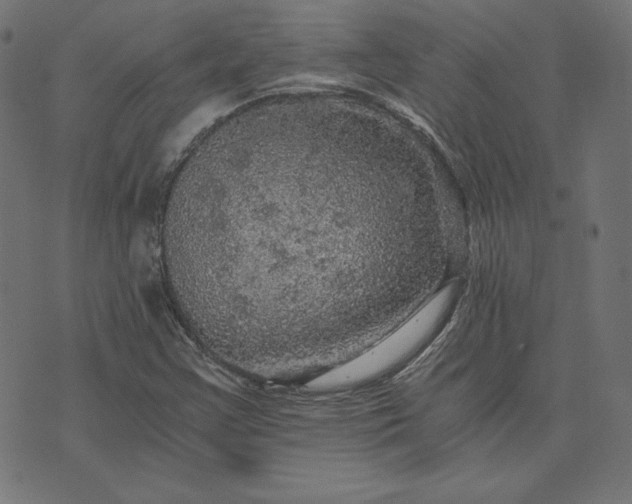 X0000073751355200608171321