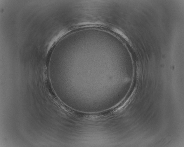 X0000073751357200608171321