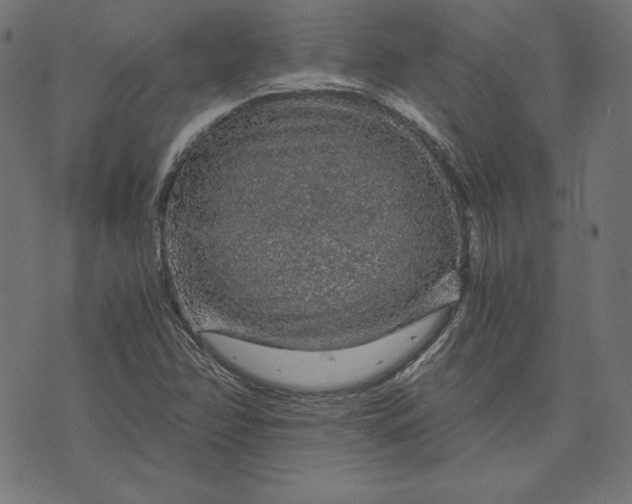 X0000073751358200608171321