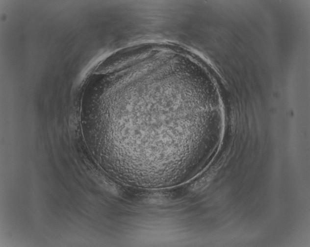 X0000073751359200608171321