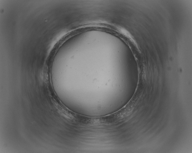 X0000073751360200608171321