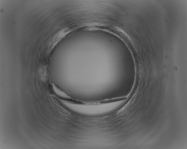 X0000073751361200608171321