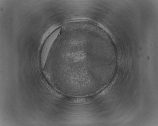 X0000073751362200608171320