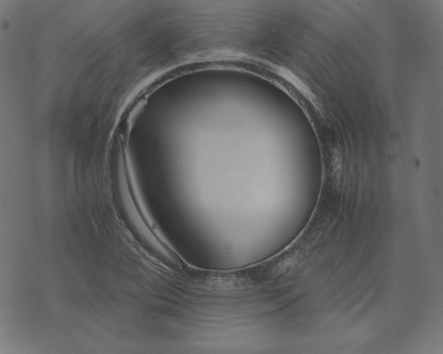 X0000073751364200608171320