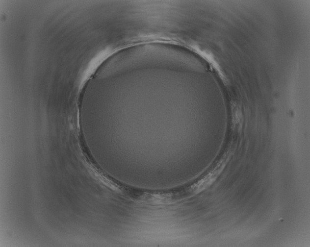 X0000073751365200608171320