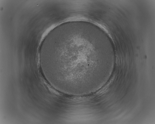 X0000073751366200608171320