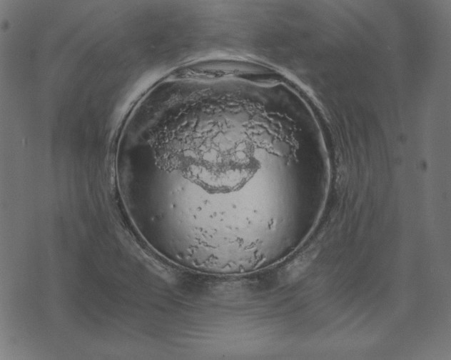 X0000073751367200608171320