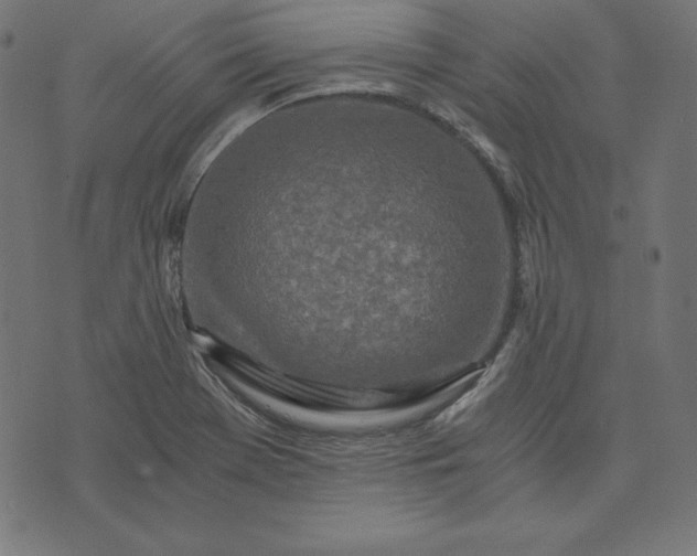 X0000073751369200608171320