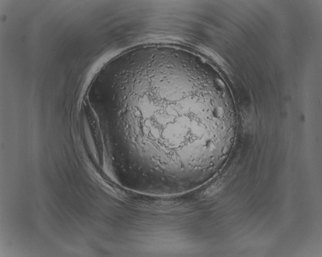 X0000073751371200608171320