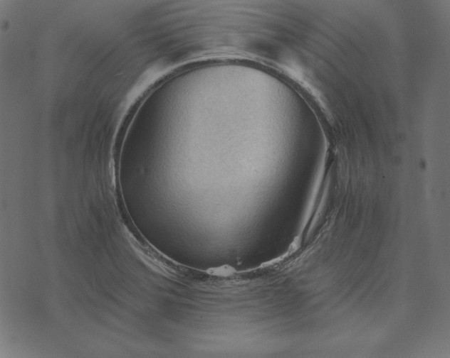 X0000073751372200608171320