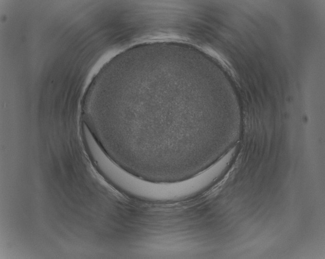 X0000073751374200608171320